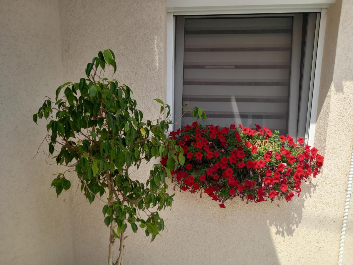Leda Apartmani Smederevo Bagian luar foto