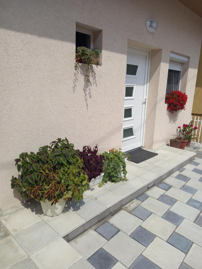 Leda Apartmani Smederevo Bagian luar foto