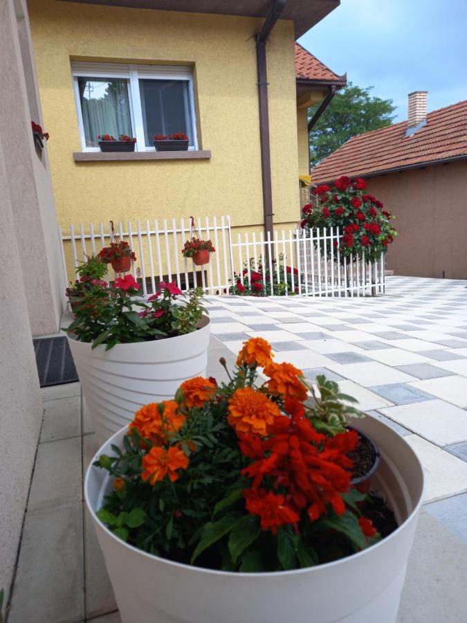 Leda Apartmani Smederevo Bagian luar foto
