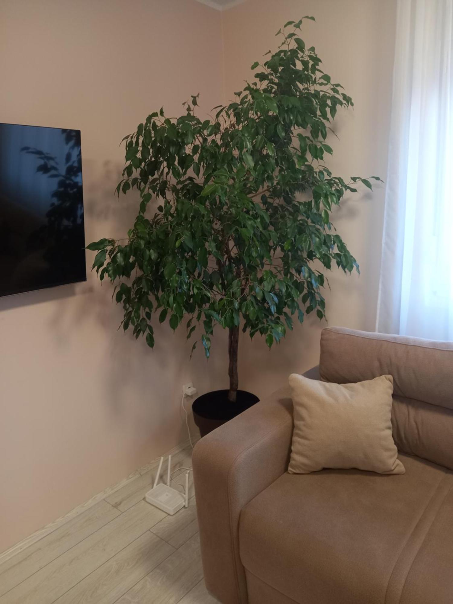 Leda Apartmani Smederevo Bagian luar foto